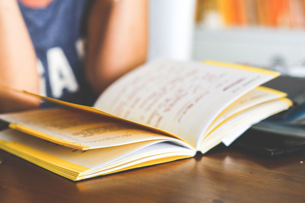 SECUNDARIA: asignaturas previas regulares